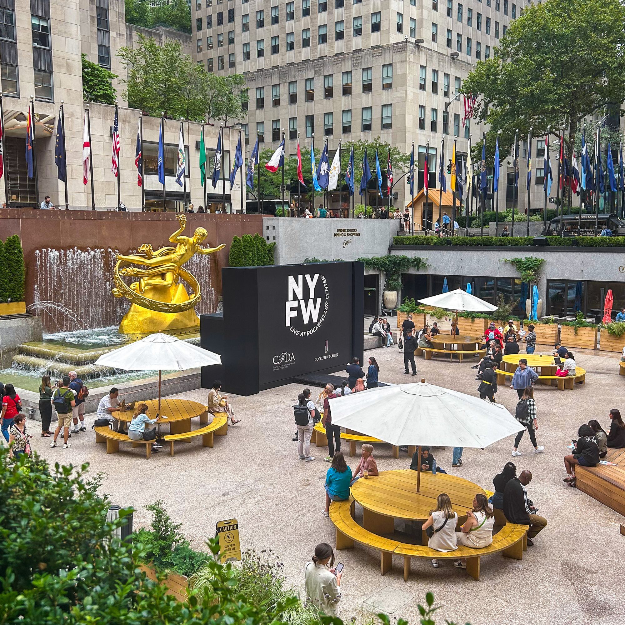 Executive Management